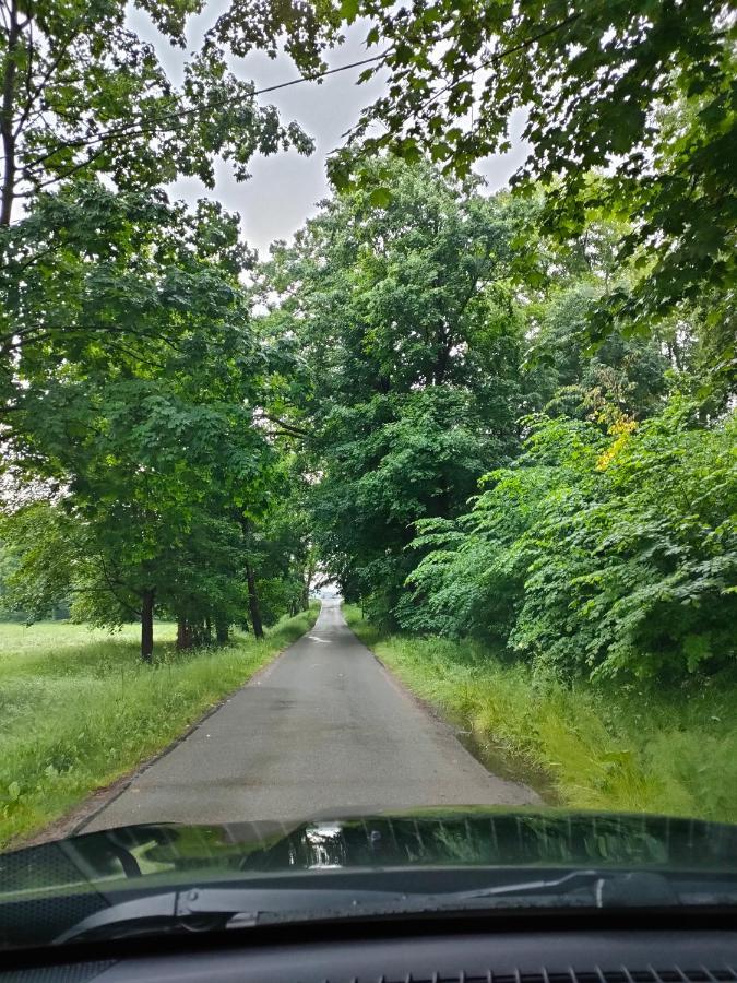 Domki I Pokoje U Borsa Lesko Buitenkant foto